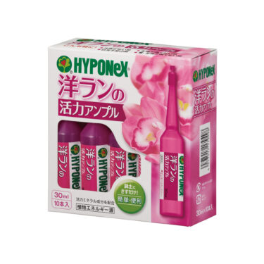 洋ランの活力アンプル