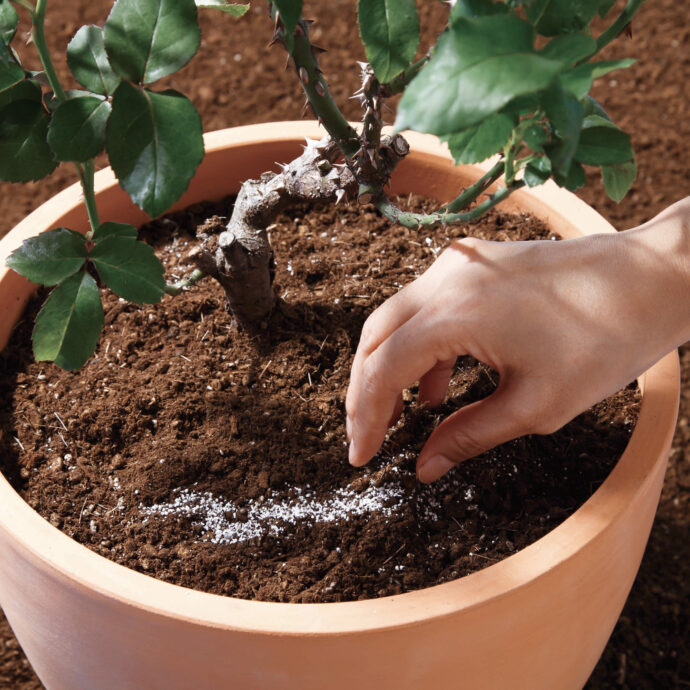 Balife バライフ バラのまくだけ肥料