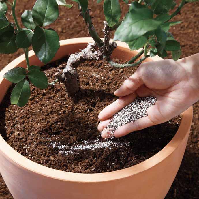 Balife バライフ バラのまくだけ肥料