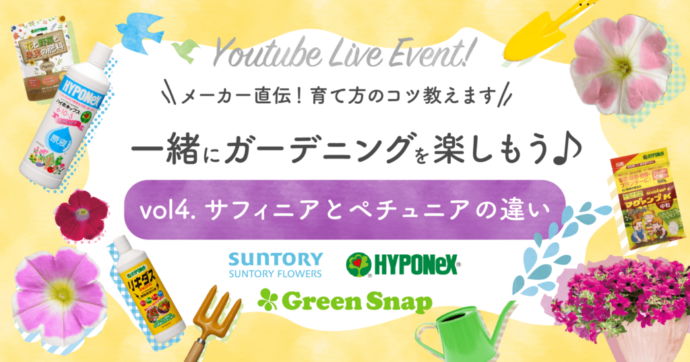 サントリーフラワーズ×GreenSnap ×ハイポネックスジャパン コラボ企画 オンラインイベントvol.4 【サフィニアとペチュニアの違い】