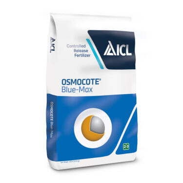 ブルーマックス