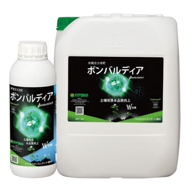 ボンバルディア