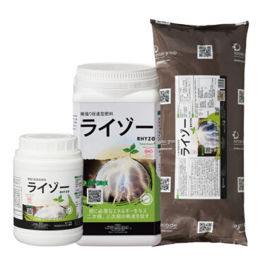 ライゾー