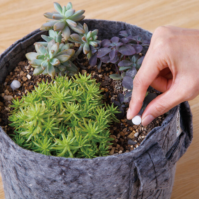 BotaNice ボタナイス　置くだけ！カンタン錠剤肥料