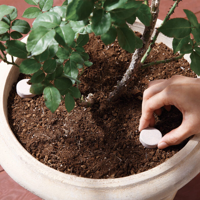 ブリリアントガーデン バラの置肥