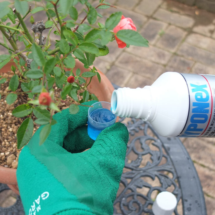 ハイポネックス原液 殺虫剤入り