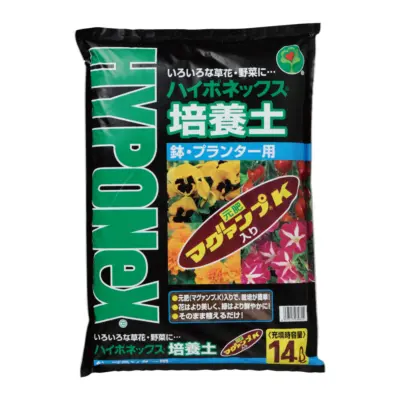 高貴な美しさが魅力的。シャクヤクの育て方のポイントと注意点