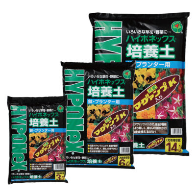 【家庭菜園】【サヤエンドウ（絹さや）の育て方】｜秋から栽培できる！日々の管理や収穫のコツ