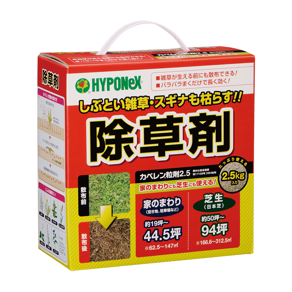 ☆☆専用です☆☆ kaperen-1.jpg