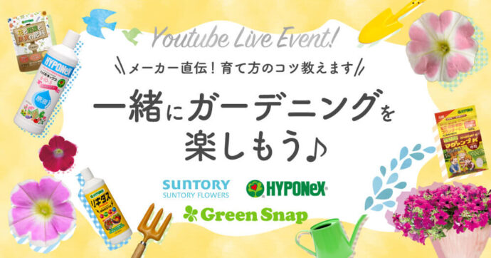 サントリーフラワーズ ✖️ハイポネックスジャパン✖️GreenSnapコラボ企画を実施いたします