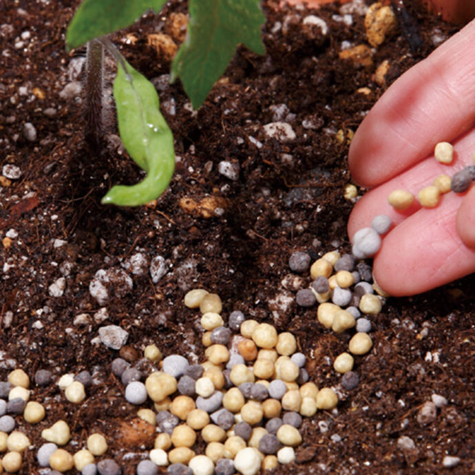 今日から野菜　野菜を育てる肥料