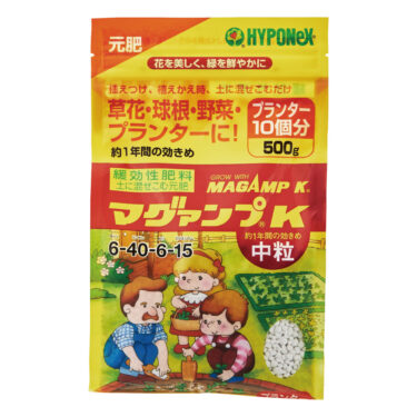 ゼラニウム