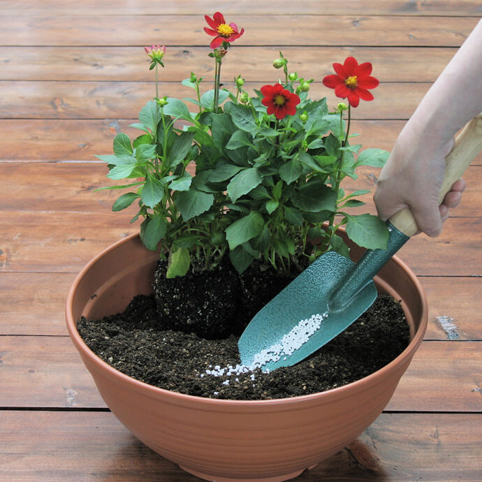 マグァンプＫ中粒