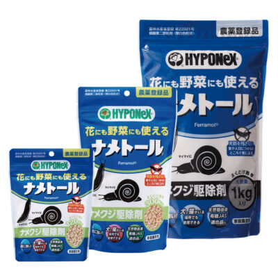 ヒガンバナ（リコリス）の育て方｜園芸初心者にもおすすめ！栽培のコツを紹介