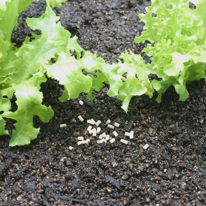 ナメトール 120g／300g／1kg