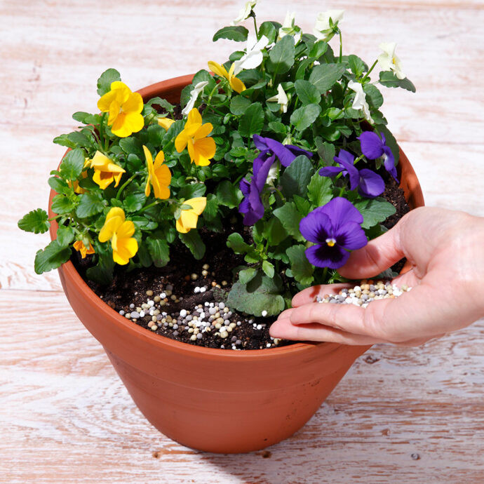 プランティア 花と野菜と果実の肥料