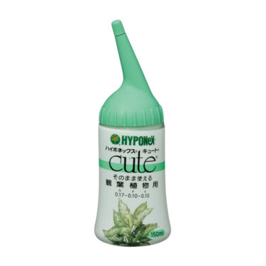 キュート 観葉植物用