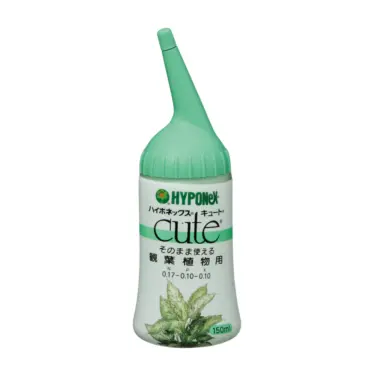 キュート 観葉植物用