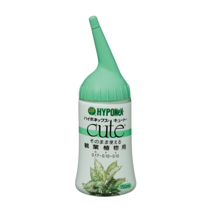 キュート 観葉植物用