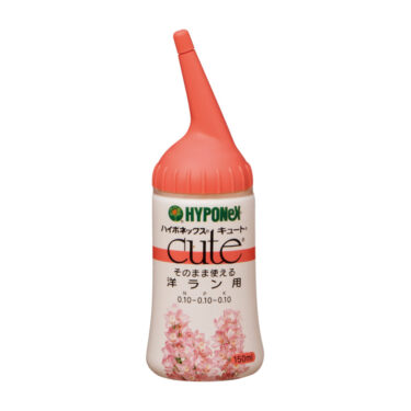 キュート 洋ラン用