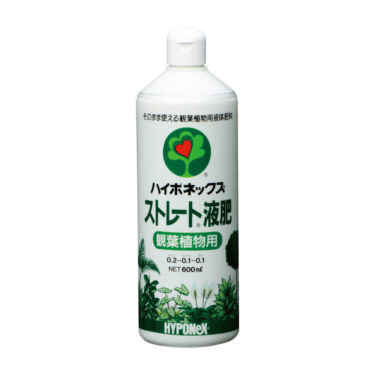 ストレリチア