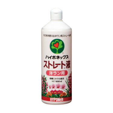 ストレート液　洋ラン用