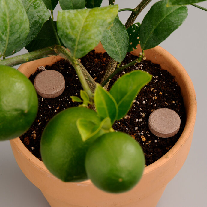 錠剤肥料シリーズ かんきつ・果樹用