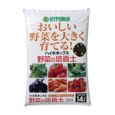 栄養豊富なパセリの育て方！ 種から苗を育てるコツとは？