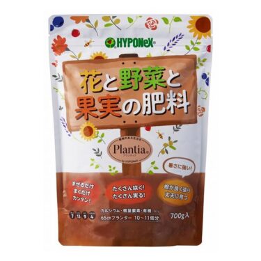 【果樹栽培】【パイナップルの育て方】｜美味しい果実を収穫するための管理のコツ