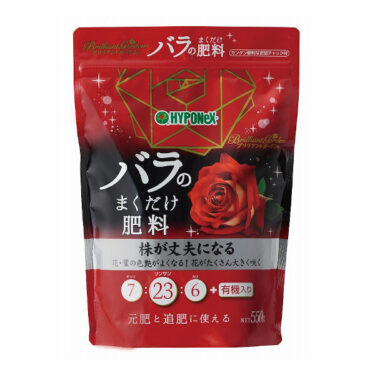 Labyrinth バラの迷宮 pickup62『はいから』
