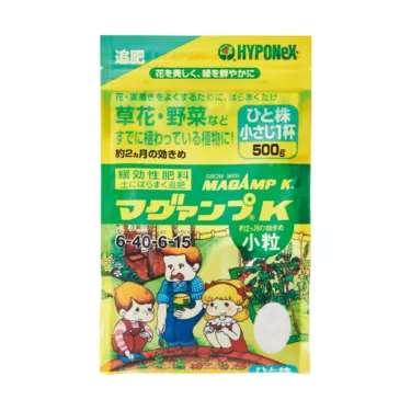 【多肉植物】 【グリーンネックレスの育て方】水やりのコツとお手入れをご紹介