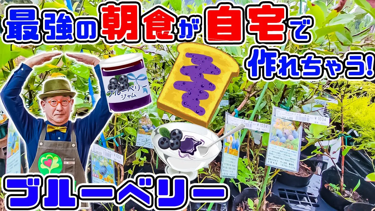 果樹栽培】【ブルーベリーの育て方】初心者にもオススメしたい