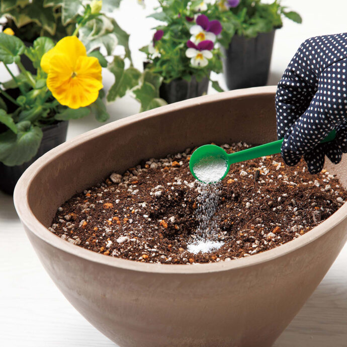 虫を予防するマグァンプＤ