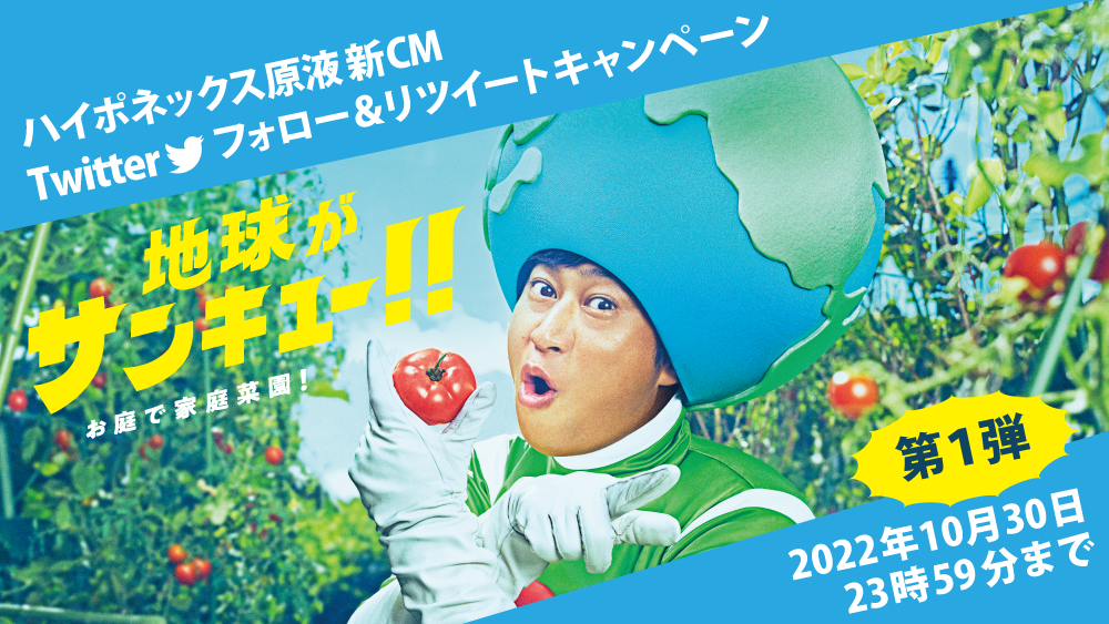 早い者勝ち！！10月30日まで （早い者勝ち！マクドナルド 株主優待券2 