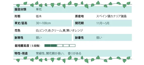 ミニトマトデータ