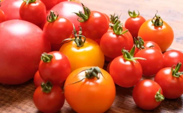 【家庭菜園】 ミニトマト栽培を始めよう！　植えつけのコツや育てるときの注意点は？ ｜ビギナーさんがやりがちな失敗4つ