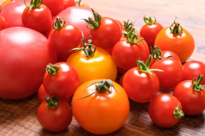 【家庭菜園】 ミニトマト栽培を始めよう！　植えつけのコツや育てるときの注意点は？ ｜ビギナーさんがやりがちな失敗4つ