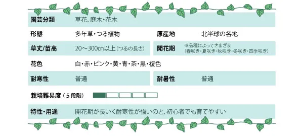 クレマチスの基本情報