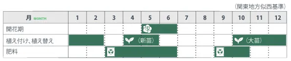 バラの基本情報