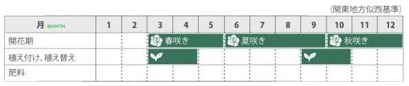 オキザリスの基本情報