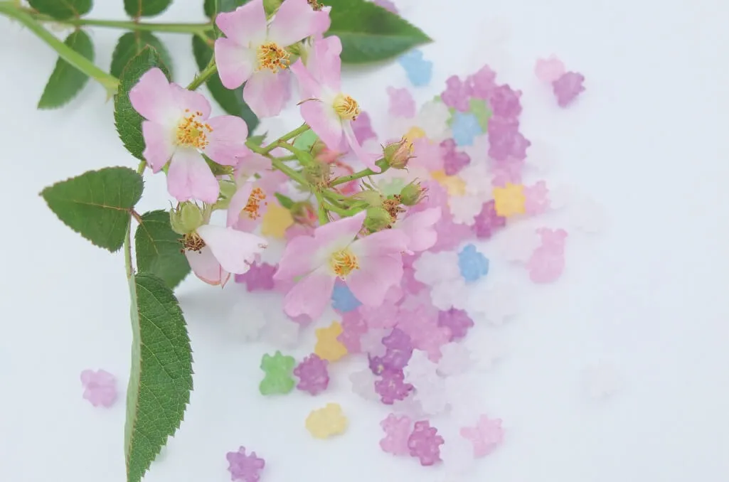 Labyrinth バラの迷宮 pickup40『フロキシー ベビー Phloxy Baby