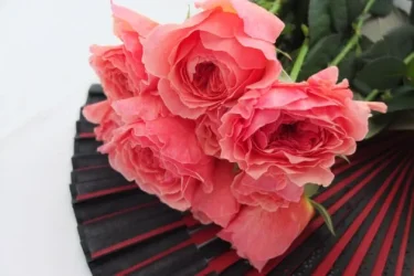 Labyrinth バラの迷宮 pickup50『かおりかざり Kaorikazari』