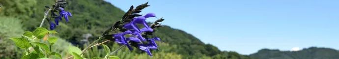 ハーブの彩 誰でも使えるの？（注意点）