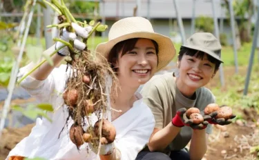 【家庭菜園】 家庭菜園にチャレンジ!!　初めての方（初心者）におすすめ野菜の選び方｜家庭菜園におすすめの野菜10選