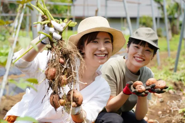 【家庭菜園】 家庭菜園にチャレンジ!!　初めての方（初心者）におすすめ野菜の選び方｜家庭菜園におすすめの野菜10選