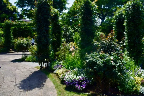港の見える丘公園に広がるローズガーデン香りの庭。