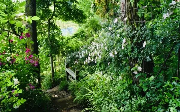 迷路のような園路を歩くとさまざまな修景に出会える。