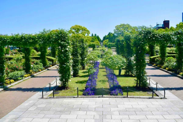 山下公園にある未来のバラ園