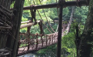 杏美のキノコ旅日誌6 お遍路キノコ旅(徳島県)　同級生との再会