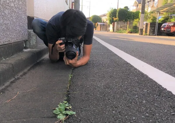 まちなかで這いつくばって写真を撮る